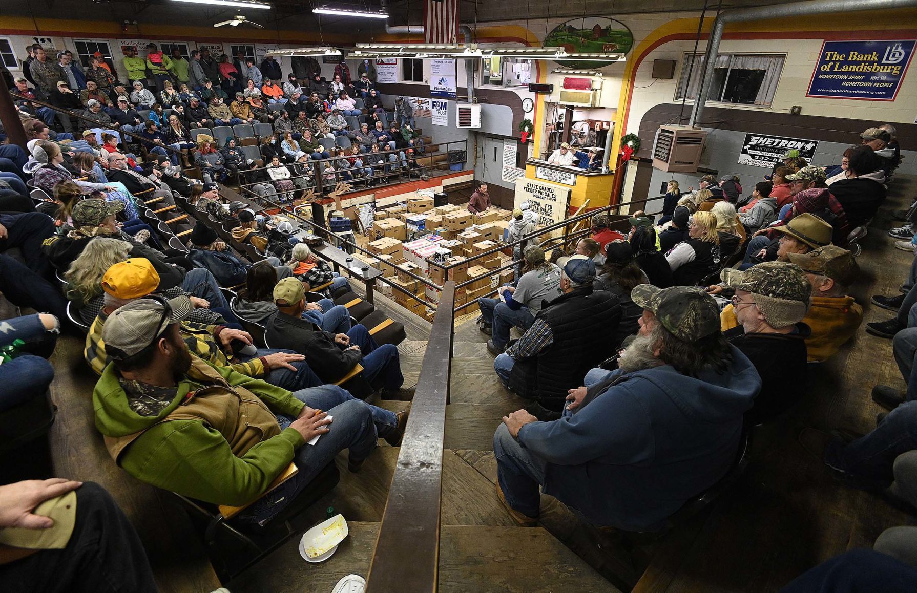 Carlisle Livestock Auction 11.JPG